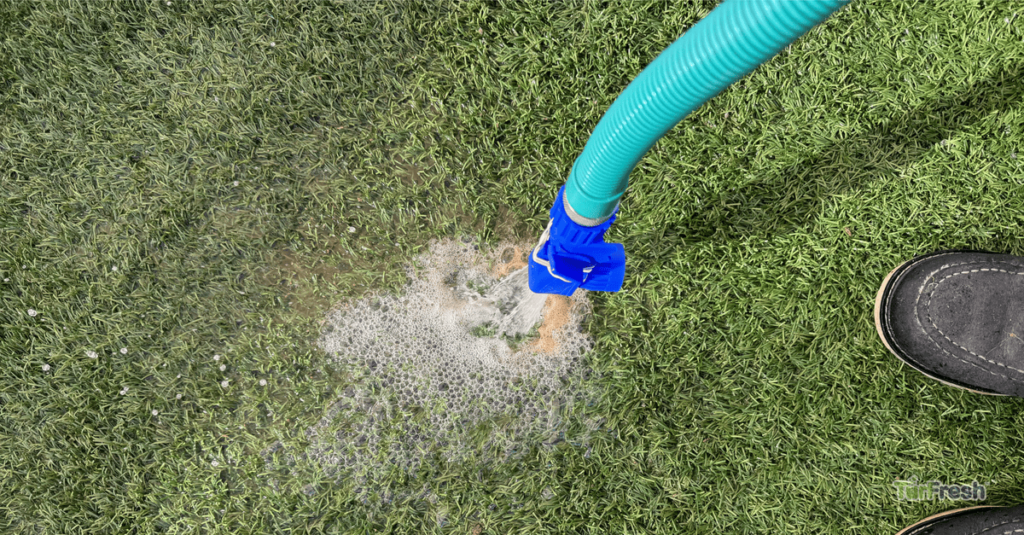 DIY vs. Professional Turf Cleaning Dog Park Sanitation and Deodorizing